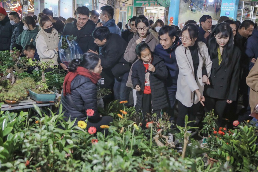 Tấp nập phiên chợ 'cả năm chỉ họp một lần' tại Nam Định - Ảnh 4. Tấp nập phiên chợ 'cả năm chỉ họp một lần' tại Nam Định - Ảnh 4.