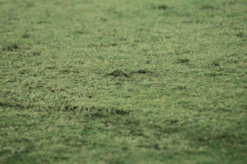 Cận cảnh chất lượng sân Mỹ Đình sau 2 trận đấu tại AFF Cup 2022 - Ảnh 5.