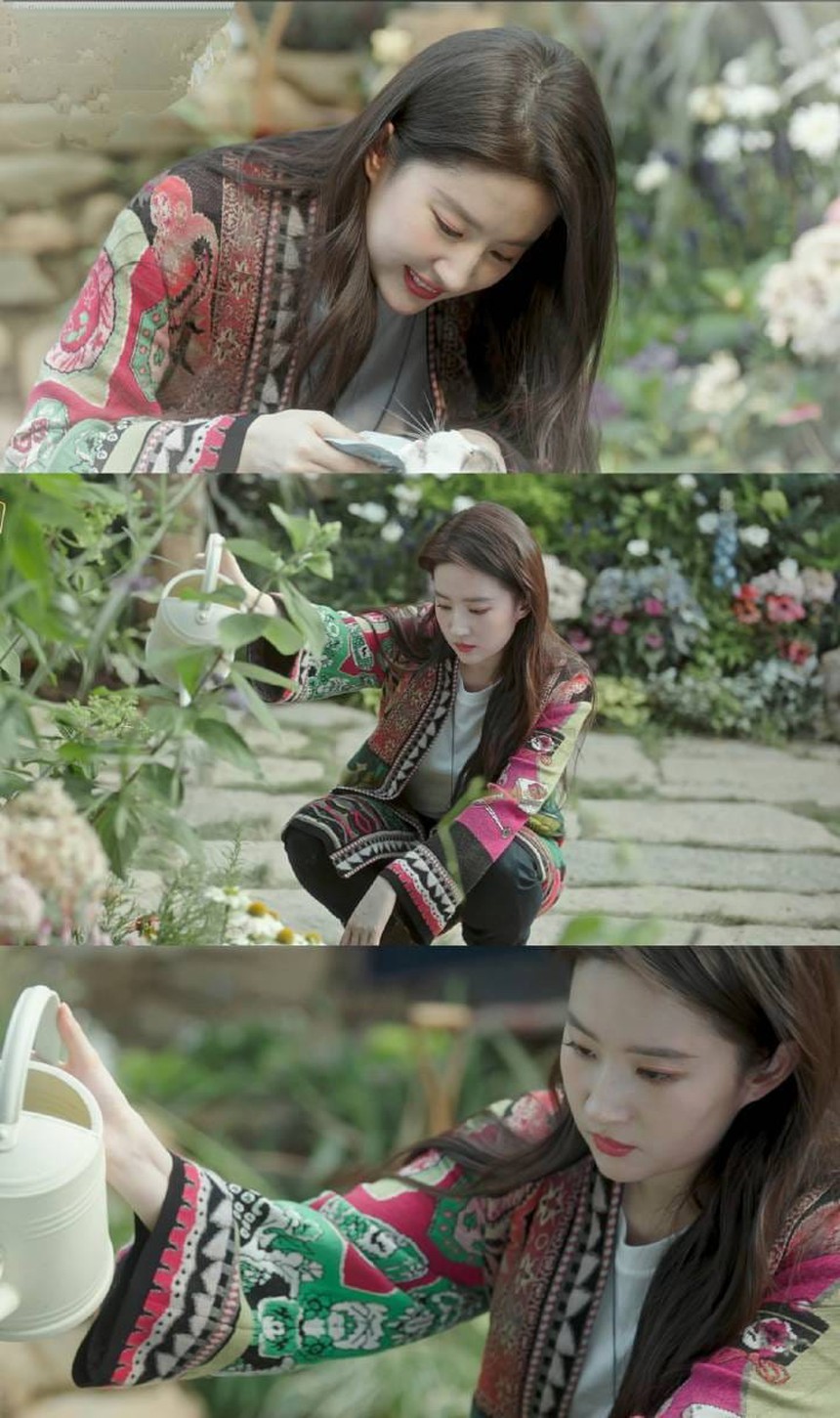 'Đi đến nơi có gió' của Lưu Diệc Phi - Lý Hiện được khen nức nở, là phim chữa lành dịp đầu năm mới - Ảnh 2. 'Đi đến nơi có gió' của Lưu Diệc Phi - Lý Hiện được khen nức nở, là phim chữa lành dịp đầu năm mới - Ảnh 2.