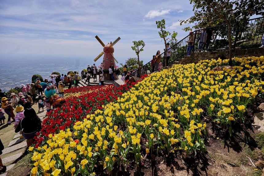 Hội Xuân Núi Bà Đen 2023 - Tây Ninh bừng sáng - Ảnh 8.
