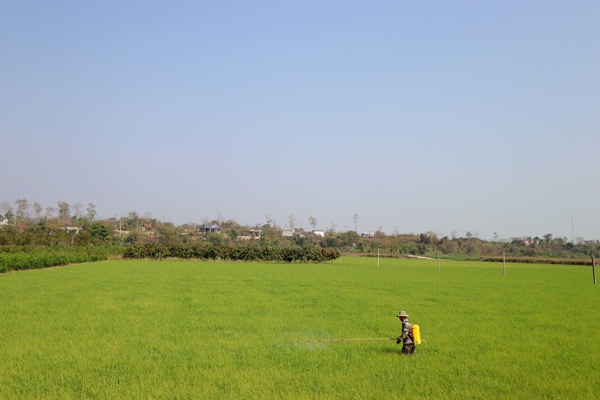 Chính sách kinh tế mới nổi bật có hiệu lực từ đầu tháng 2/2023 - Ảnh 5.