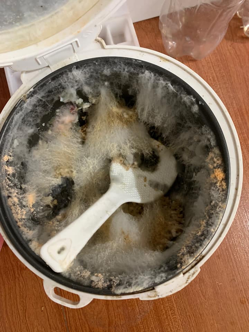 Ám ảnh kinh hoàng với series nồi cơm điện của sinh viên sau Tết: Nấm mốc mọc cao như núi, xuất hiện cả sinh vật lạ! - Ảnh 3. Ám ảnh kinh hoàng với series nồi cơm điện của sinh viên sau Tết: Nấm mốc mọc cao như núi, xuất hiện cả sinh vật lạ! - Ảnh 3.