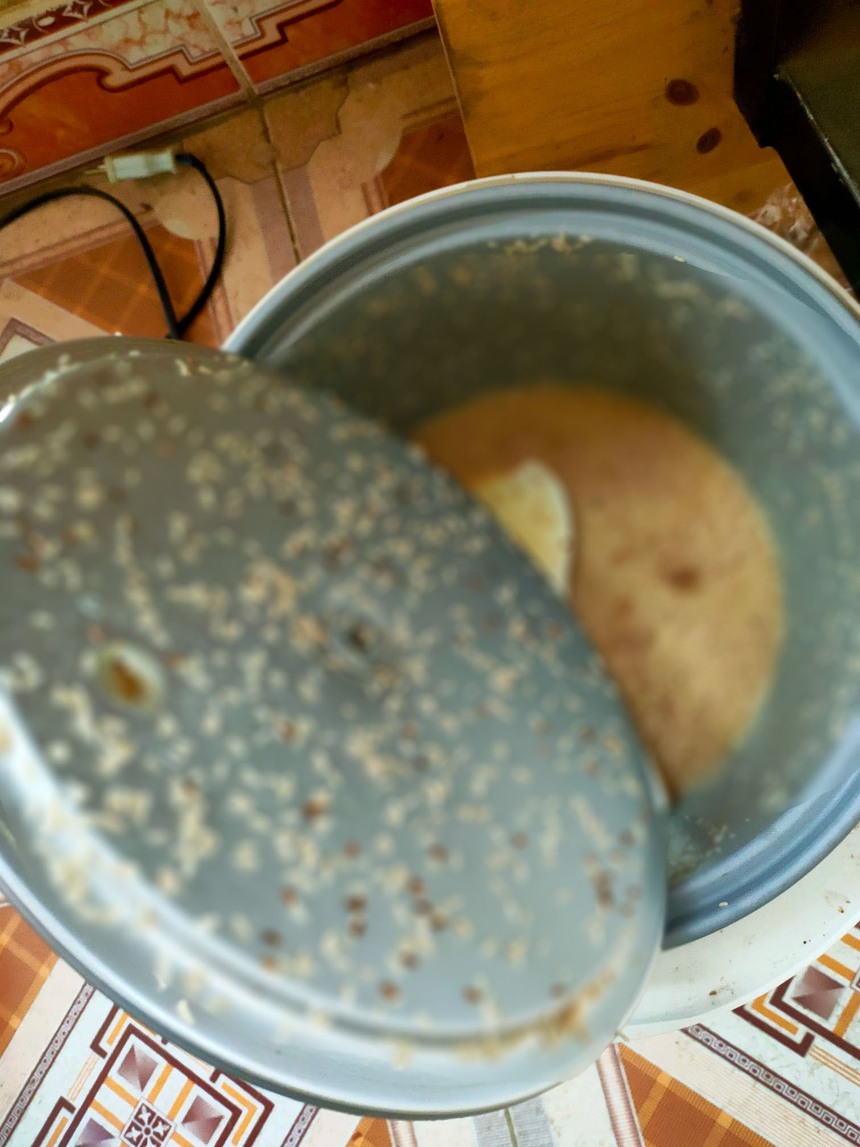 "Ám ảnh kinh hoàng" với series nồi cơm điện của sinh viên sau Tết: Nấm mốc xuất hiện chưa là gì so với sinh vật lạ này! - Ảnh 4. Ám ảnh kinh hoàng với series nồi cơm điện của sinh viên sau Tết: Nấm mốc mọc cao như núi, xuất hiện cả sinh vật lạ! - Ảnh 4.