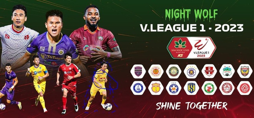 VPF xóa ảnh đại diện của HAGL - Ảnh 3.