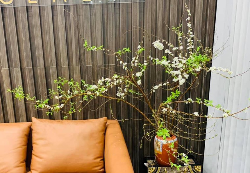 Loài hoa ''ngủ đông'' hút khách dịp Tết, chịu khó chăm hoa bung nụ cực đẹp  - Ảnh 6.