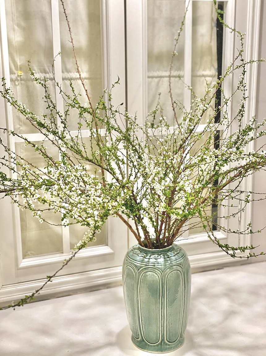 Loài hoa ''ngủ đông'' hút khách dịp Tết, chịu khó chăm hoa bung nụ cực đẹp  - Ảnh 8.