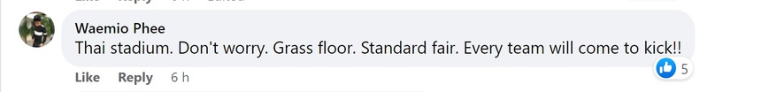 Lo ngại chất lượng sân cỏ, Thái Lan không dùng SVĐ Quốc gia - Ảnh 6.