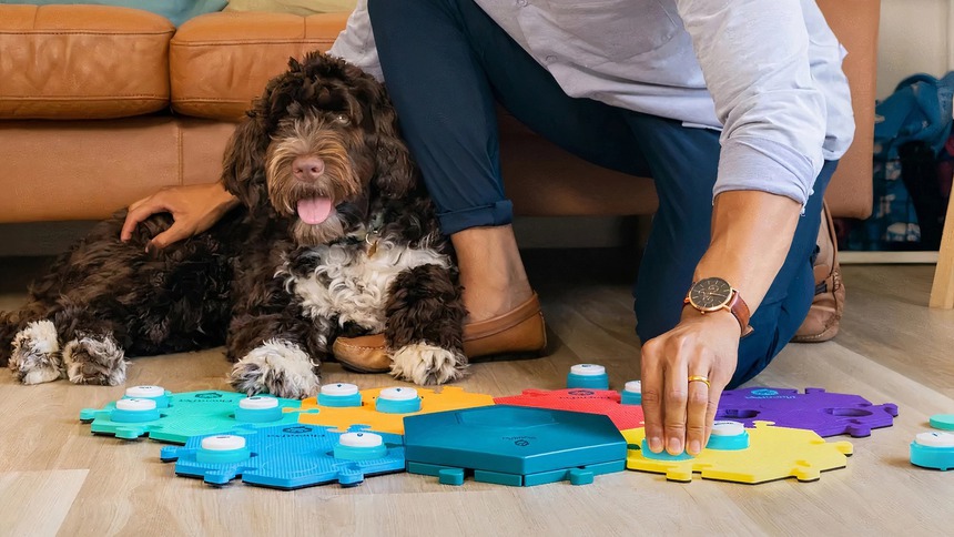 Tổng hợp những món công nghệ độc lạ tại sự kiện CES 2023 - Ảnh 7. Tổng hợp những món công nghệ độc lạ tại sự kiện CES 2023 - Ảnh 7.