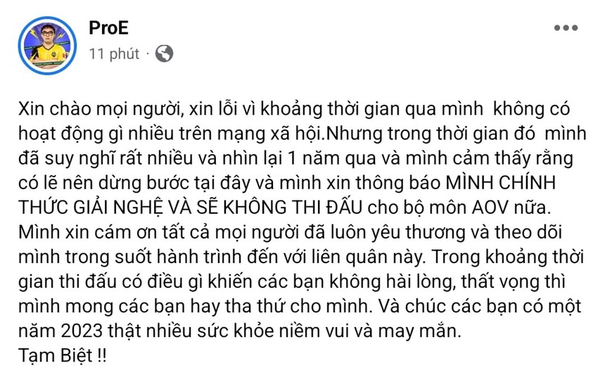 Trợ thủ huyền thoại ProE chính thức giải nghệ, từ giã Liên Quân Mobile  - Ảnh 1.