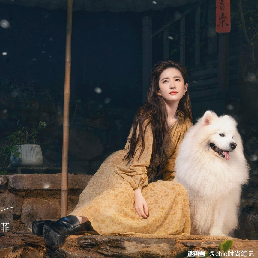 Lưu Diệc Phi 'cưa sừng làm nghé' vài giây mà gây sốt vì quá đẹp, đổi đúng 1 chi tiết nhan sắc là đã thành công! - Ảnh 1. Lưu Diệc Phi 'cưa sừng làm nghé' vài giây mà gây sốt vì quá đẹp, đổi đúng 1 chi tiết nhan sắc là đã thành công! - Ảnh 1.