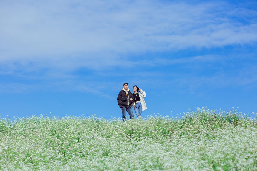 Đừng lỡ hẹn với Sơn La mùa hoa cải - Thiên đường trắng xóa đẹp quên lối về - Ảnh 7.