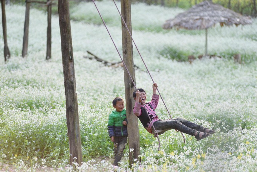 Đừng lỡ hẹn với Sơn La mùa hoa cải - Thiên đường trắng xóa đẹp quên lối về - Ảnh 5.