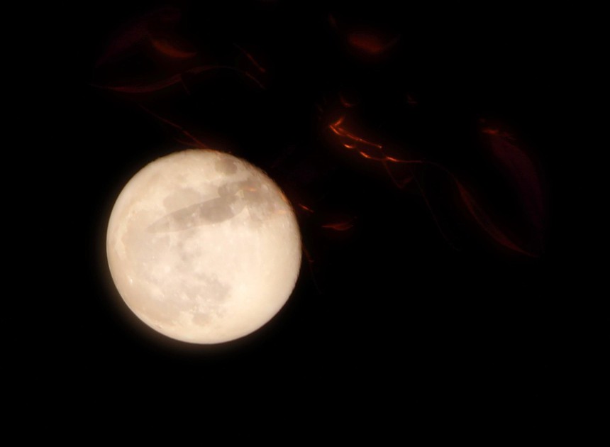 Hình ảnh tuyệt đẹp về siêu trăng cuối cùng của năm 2023 trên bầu trời Hà Nội - Ảnh 6.