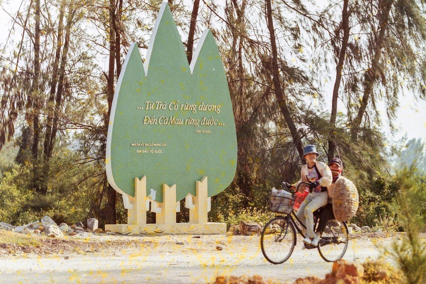 Cuộc đời sau ống kính: Từ Trà Cổ rừng dương… - Ảnh 1. Cuộc đời sau ống kính: Từ Trà Cổ rừng dương… - Ảnh 1.