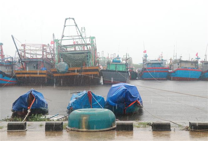 Áp thấp nhiệt đới mạnh lên thành bão số 5 vào trưa 18/10 - Ảnh 1.