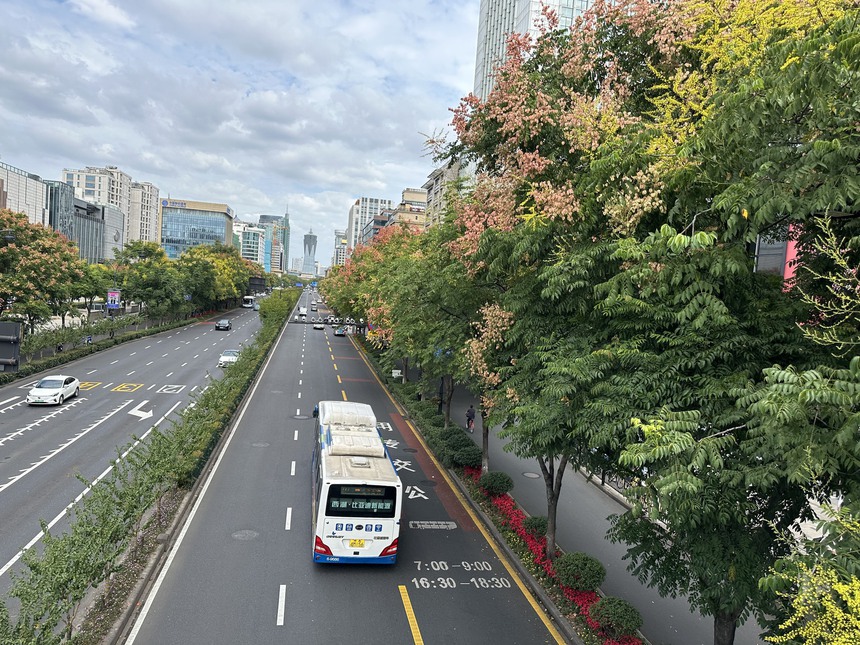 Thư Hàng Châu: Có một Hàng Châu rất xanh - Ảnh 1.