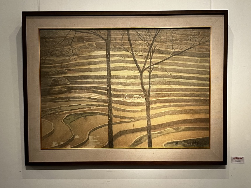 Vũ Thái Bình thêm duyên cùng dó - Ảnh 7. Vũ Thái Bình thêm duyên cùng dó - Ảnh 7.