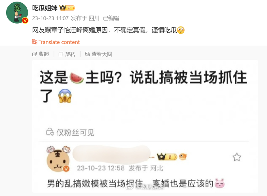 Chương Tử Di và Uông Phong tuyên bố ly hôn - Ảnh 4. Chương Tử Di và Uông Phong tuyên bố ly hôn - Ảnh 4.