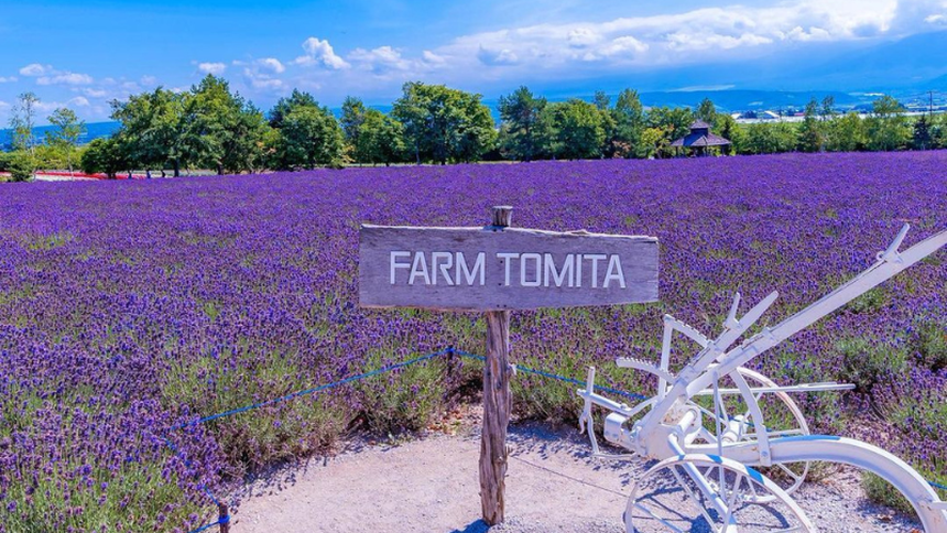 Những thời điểm tuyệt vời để du lịch Nhật Bản - Ảnh 4.