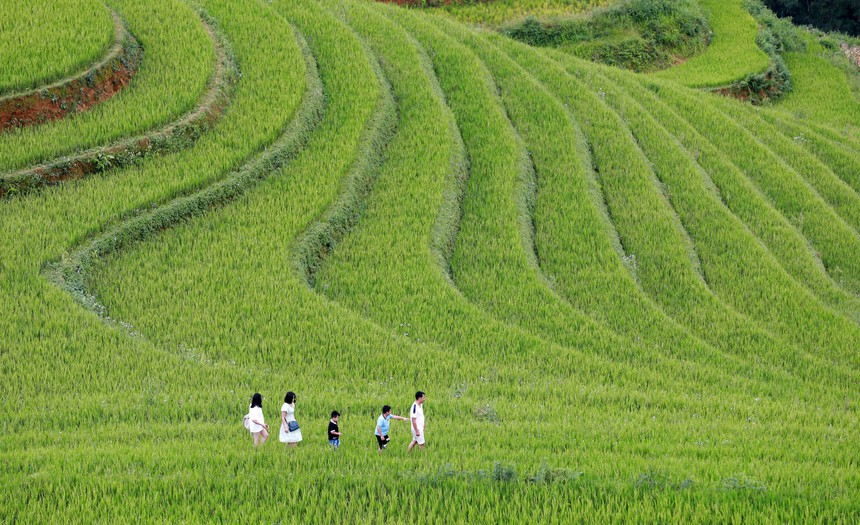 Cân bằng, hài hòa để phát triển bền vững 'kinh tế không khói' - Ảnh 1.