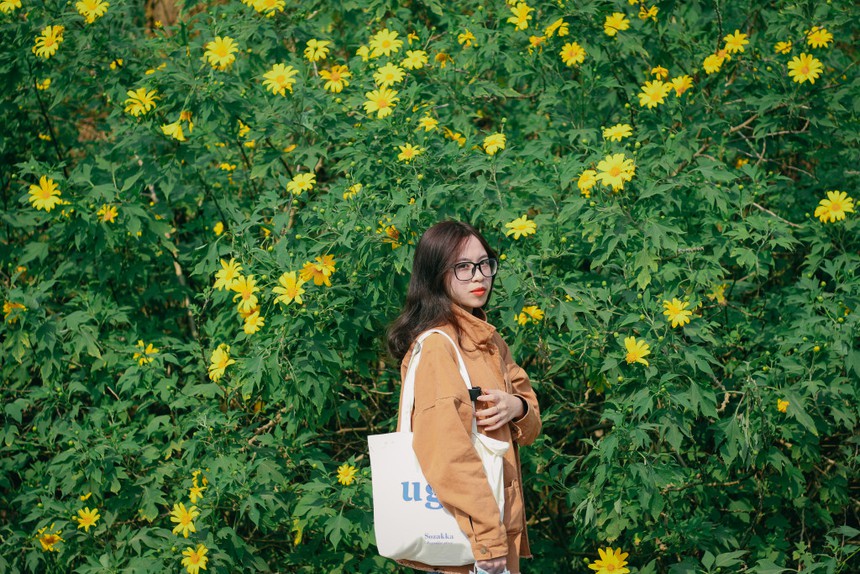 Dã quỳ sớm nở chóng tàn, "set kèo" tới Ba Vì check-in giữa rừng hoa ngay kẻo lỡ - Ảnh 8. Dã quỳ sớm nở chóng tàn, "set kèo" tới Ba Vì check-in giữa rừng hoa ngay kẻo lỡ - Ảnh 8.