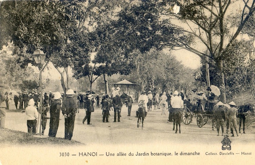 Ảnh = Ký ức = Lịch sử (kỳ 85): Đến Vườn bách thảo Hà Nội - Ảnh 1.