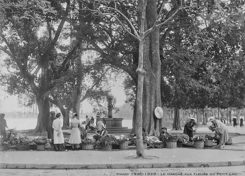 Ảnh = Ký ức = Lịch sử (kỳ 85): Đến Vườn bách thảo Hà Nội - Ảnh 15.