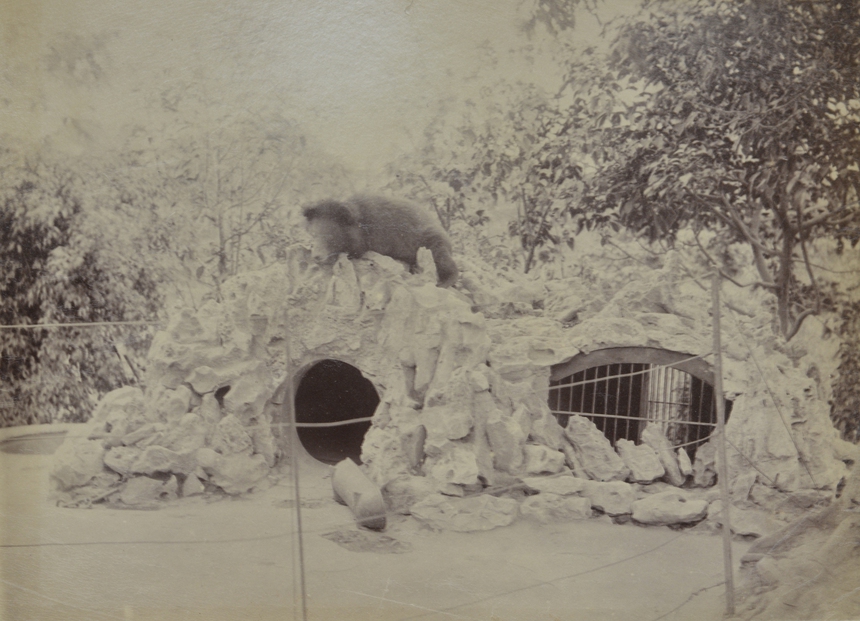 Ảnh = Ký ức = Lịch sử (kỳ 85): Đến Vườn bách thảo Hà Nội - Ảnh 5.