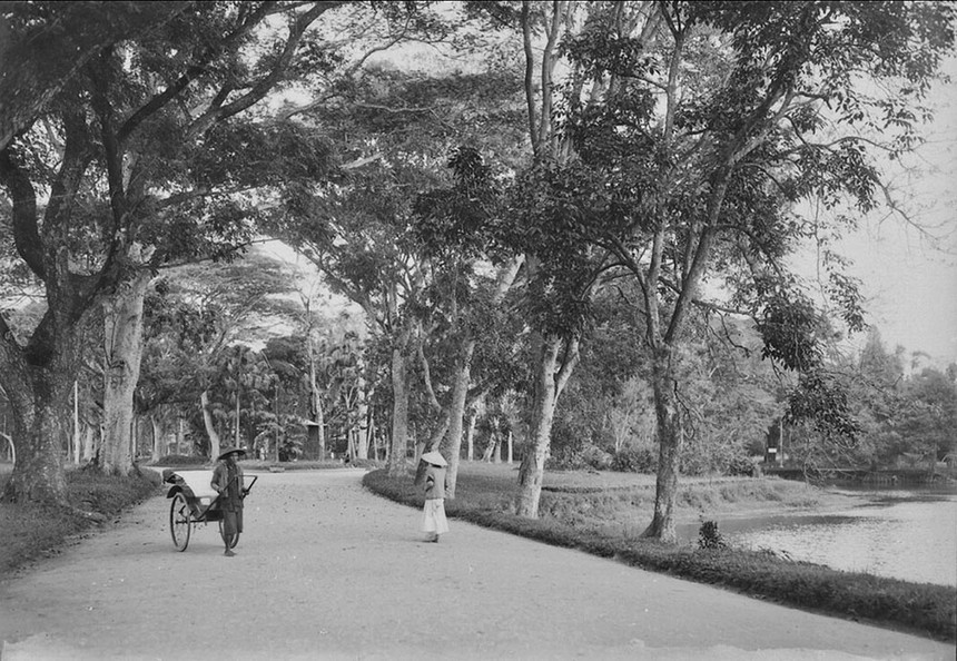 Ảnh = Ký ức = Lịch sử (kỳ 85): Đến Vườn bách thảo Hà Nội - Ảnh 7.