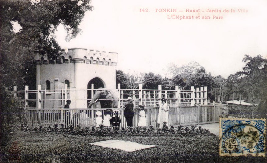 Ảnh = Ký ức = Lịch sử (kỳ 85): Đến Vườn bách thảo Hà Nội - Ảnh 9.