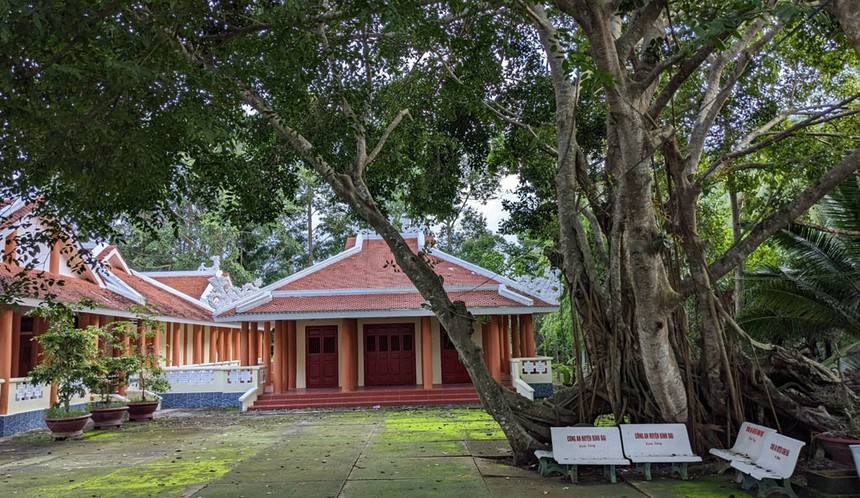 Bến Tre có thêm cây di sản Việt Nam - Ảnh 1. Bến Tre có thêm cây di sản Việt Nam - Ảnh 1.