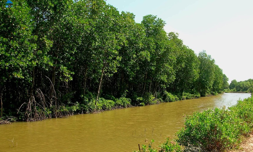 Bến Tre phát triển du lịch sinh thái nông nghiệp - Ảnh 3.