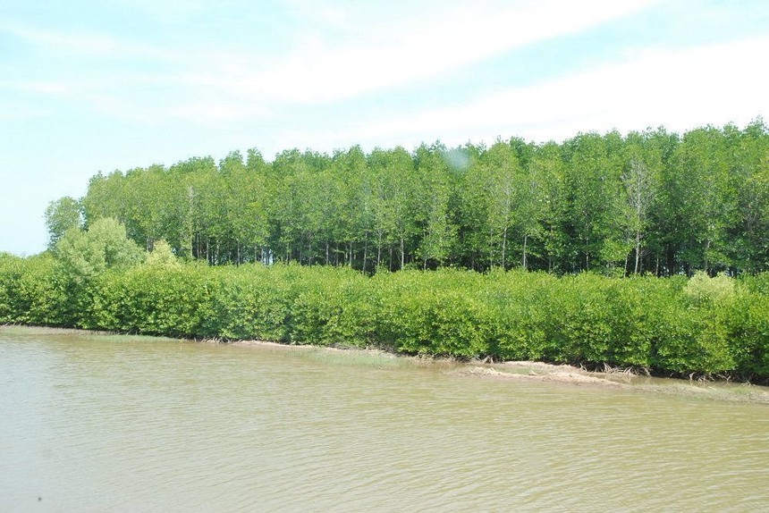 Du lịch biển Bến Tre tăng 85% doanh thu - Ảnh 1. Du lịch biển Bến Tre tăng 85% doanh thu - Ảnh 1.