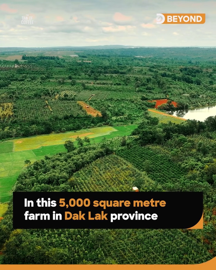 Discovery Channel phát sóng toàn cầu bộ phim về văn hoá cà phê Việt - Ảnh 2.