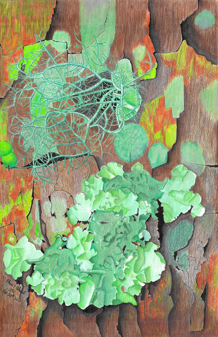 Triển lãm nhóm 'Sinh cảnh' của 3 họa sĩ trẻ ở Đà Lạt - Ảnh 3.