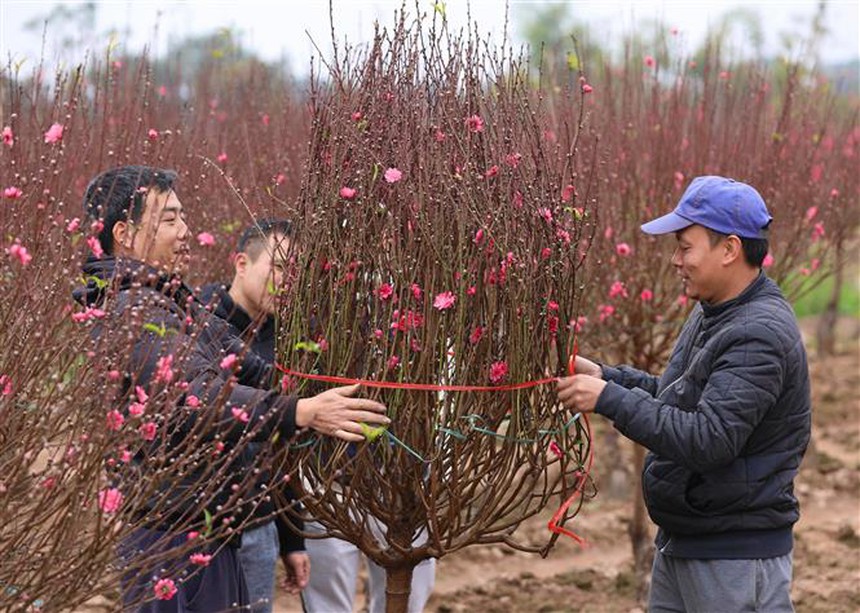 Chốt phương án nghỉ Tết Âm lịch 7 ngày, nghỉ lễ Quốc khánh 4 ngày - Ảnh 1.