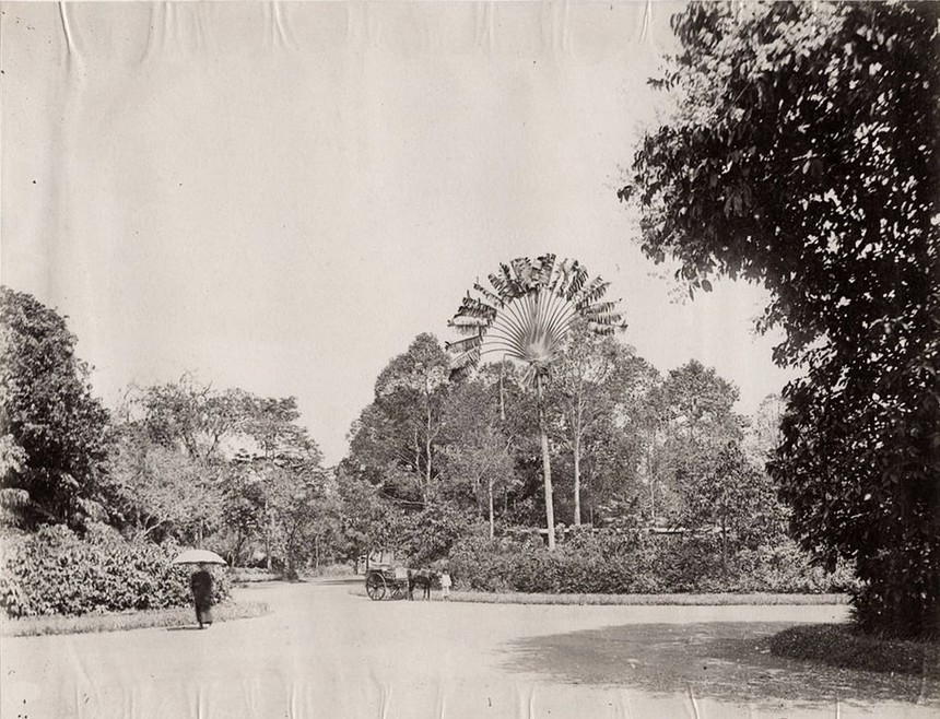 Ảnh = Ký ức = Lịch sử (kỳ 84): Từ Thảo Cầm Viên Sài Gòn… - Ảnh 12.