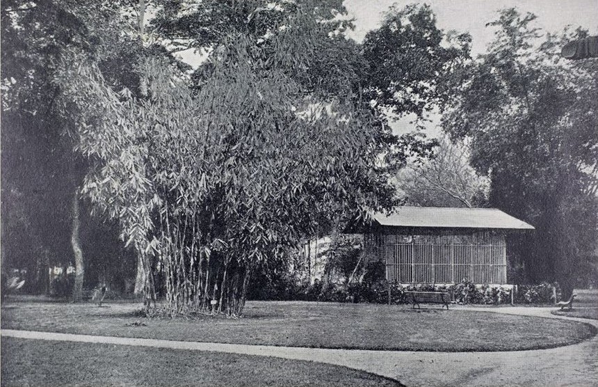 Ảnh = Ký ức = Lịch sử (kỳ 84): Từ Thảo Cầm Viên Sài Gòn… - Ảnh 13.