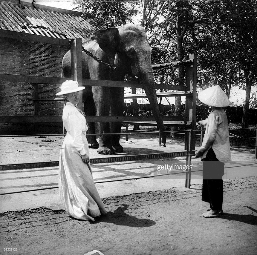 Ảnh = Ký ức = Lịch sử (kỳ 84): Từ Thảo Cầm Viên Sài Gòn… - Ảnh 16.