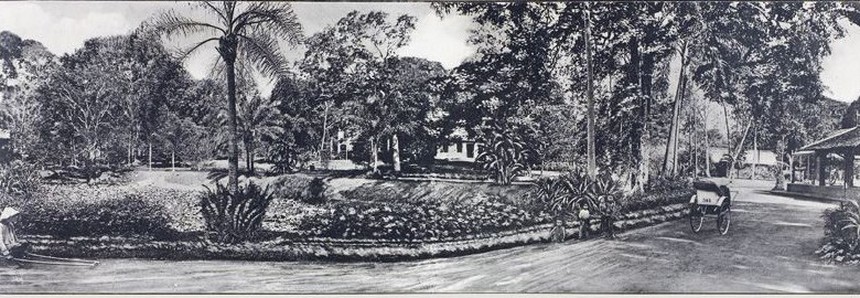 Ảnh = Ký ức = Lịch sử (kỳ 84): Từ Thảo Cầm Viên Sài Gòn… - Ảnh 8.