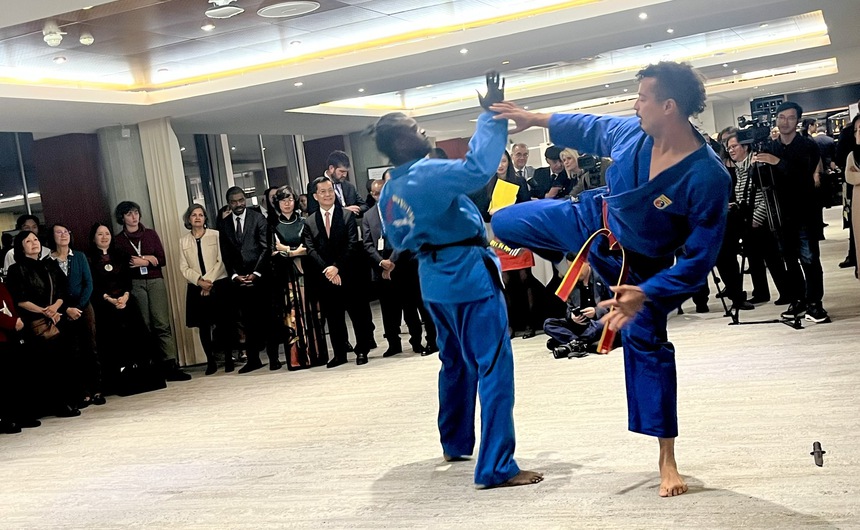 Võ thuật và âm nhạc Việt Nam chinh phục UNESCO - Ảnh 3.