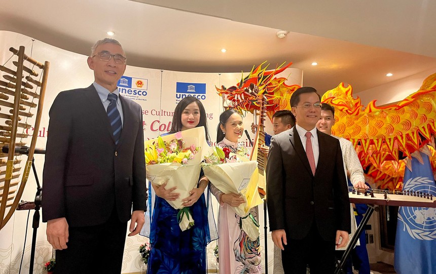 Võ thuật và âm nhạc Việt Nam chinh phục UNESCO - Ảnh 6.