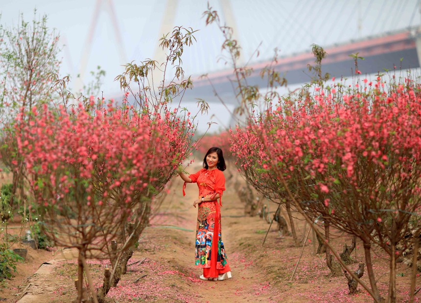 Hà Nội: Khu du lịch Nhật Tân được công nhận cấp thành phố - Ảnh 1. Hà Nội: Khu du lịch Nhật Tân được công nhận cấp thành phố - Ảnh 1.