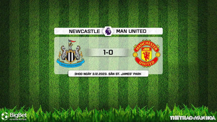 Nhận định bóng đá Newcastle vs MU (3h00, 3/12), Vòng 14 giải Ngoại hạng Anh - Ảnh 8. Nhận định bóng đá Newcastle vs MU (3h00, 3/12), Vòng 14 giải Ngoại hạng Anh - Ảnh 8.