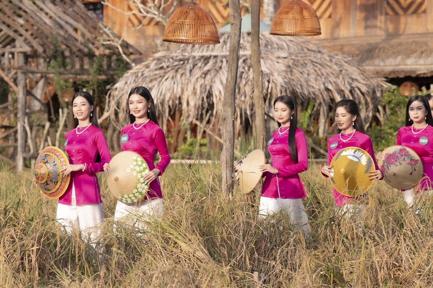 Người đẹp Tây Đô catwalk trên cánh đồng lúa - Ảnh 3.