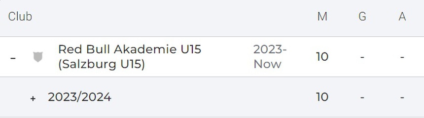 Cầu thủ Việt kiều là đàn em của Erling Haaland, nhân tố quan trọng của đội trẻ CLB tại Áo - Ảnh 2.