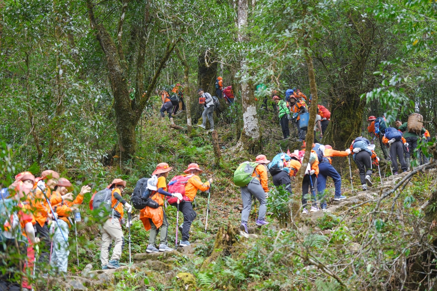 Gần 500 người xuyên đêm leo Fansipan để bứt phá bản thân - Ảnh 3.