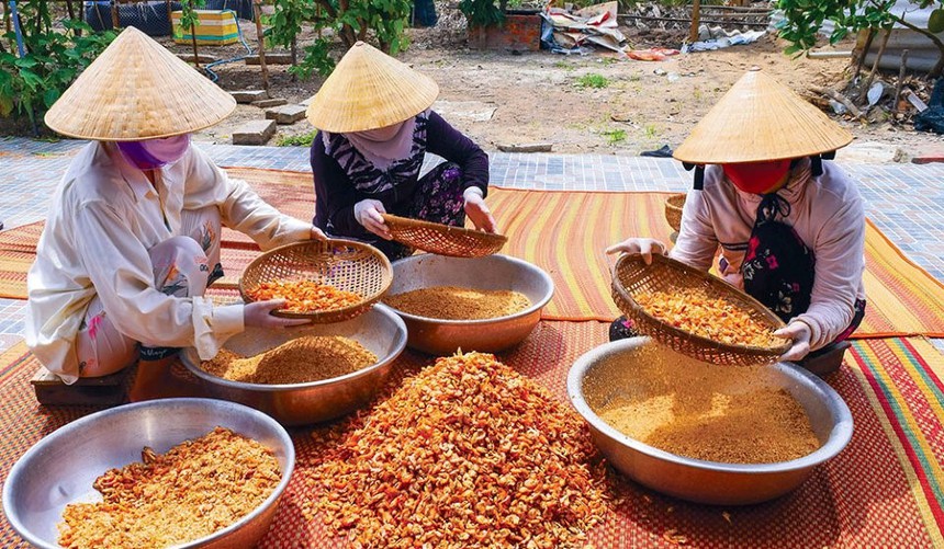 Nghề tôm khô Cà Mau thành Di sản văn hóa phi vật thể quốc gia - Ảnh 3.