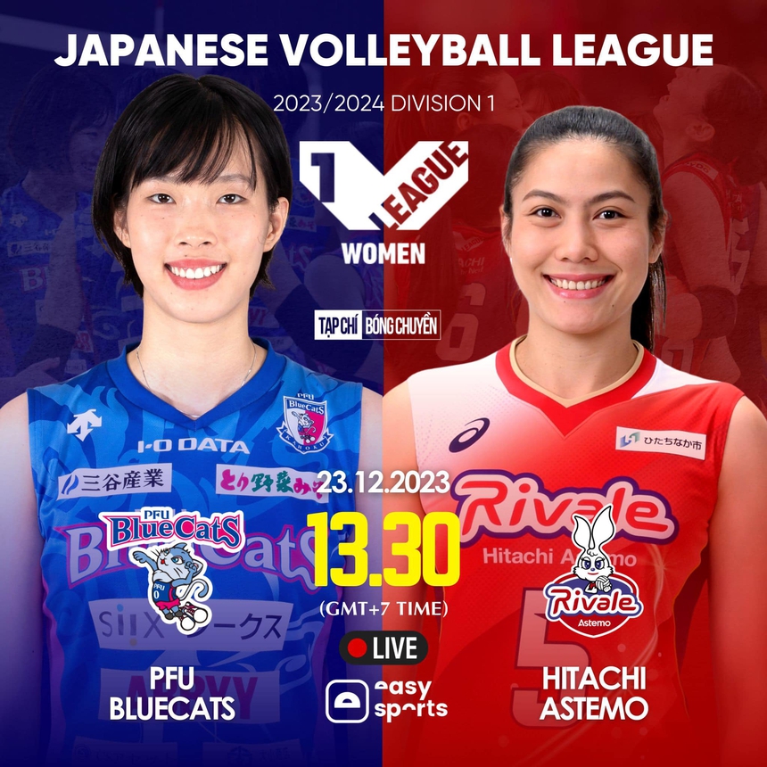 Link xem trực tiếp bóng chuyền Thanh Thúy thi đấu: PFU Blue Cats vs Hitachi Astemo (13h30 hôm nay) - Ảnh 2.