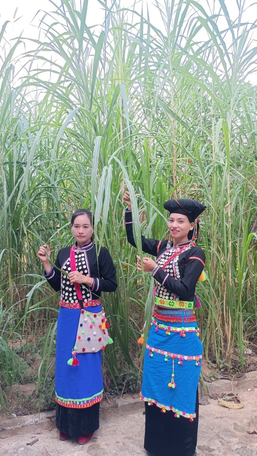 Độc đáo trang phục của người Si La: Chiếc khăn tình yêu - Ảnh 4.